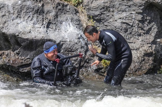 İnci kefalinin zorlu yolculuğu su altı kamerasında